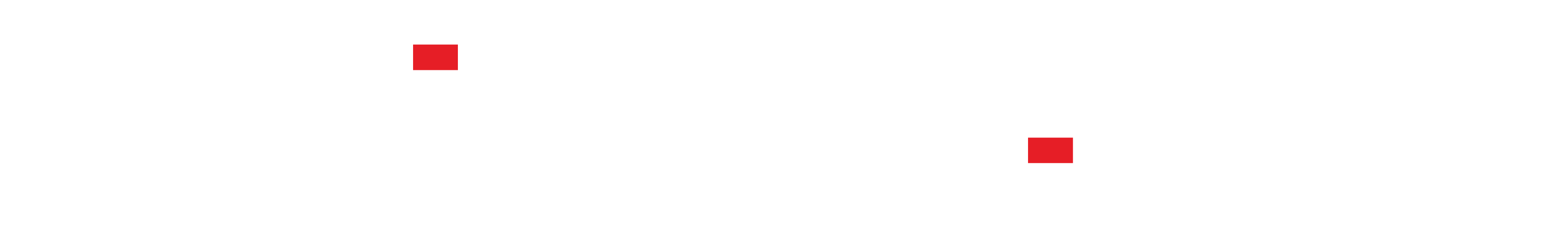 Primeview Logo